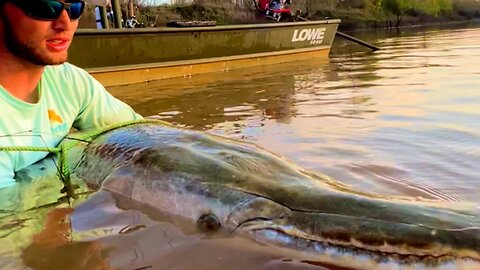 I Think We Are Going To Need A Bigger Boat! 🦖🦈