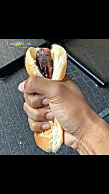 The Ultimate Donald Trump Hot Dog Meme! 🌭