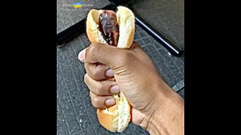 The Ultimate Donald Trump Hot Dog Meme! 🌭