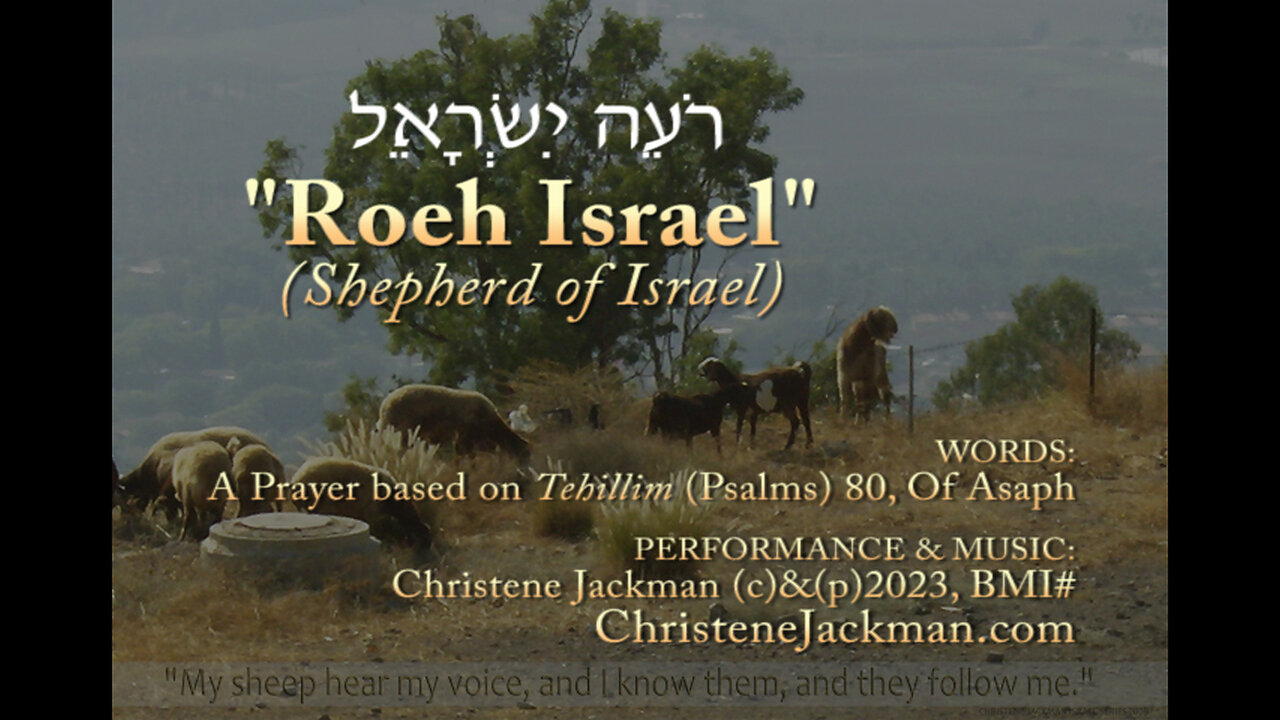 Roeh Israel (Shepherd of Israel) A Prayer Based on Psalm 80, Christene Jackman