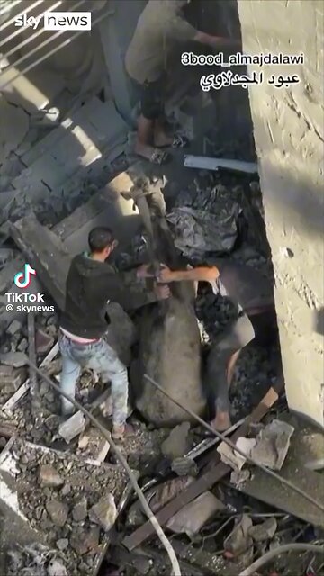 Jesus H. Christ was a horse