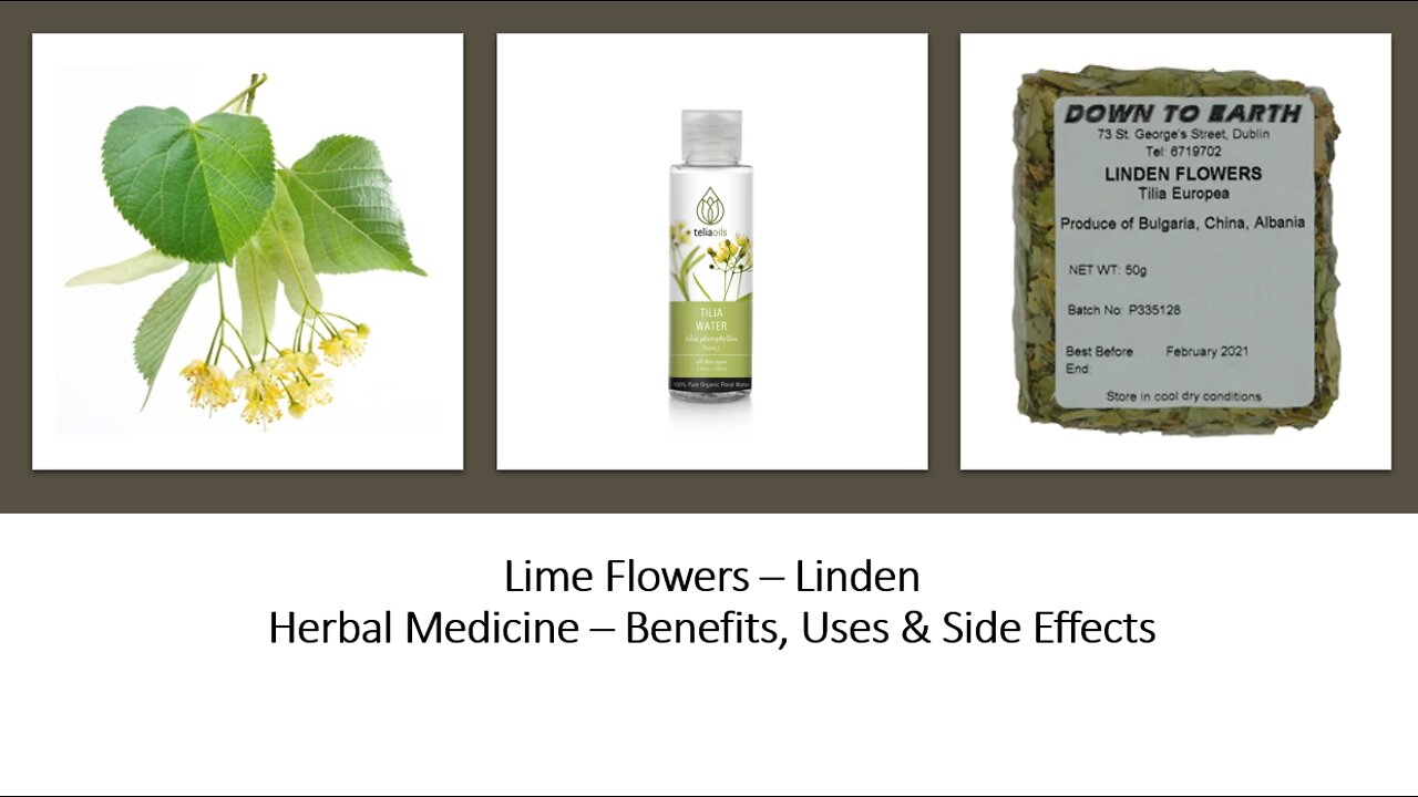 Lime Flower Herbal Medicine Benefits, Uses & Side Effects