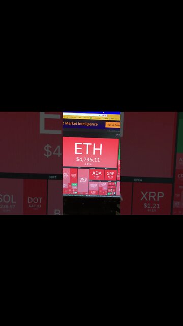 Crypto Market is Down Today Nov 11, 2021 - Buy on dips #Shorts