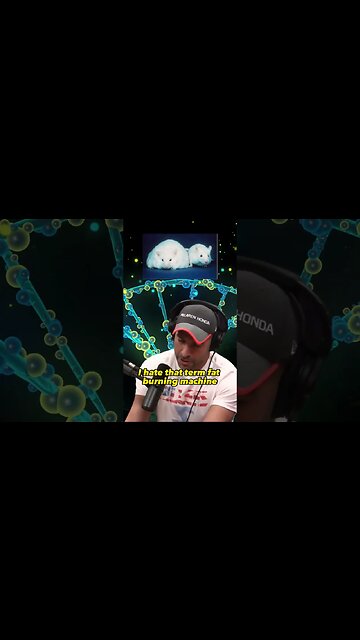 Unlocking the Power of Fasting: Insights from Peter Attia | Joe Rogan Experience #1108