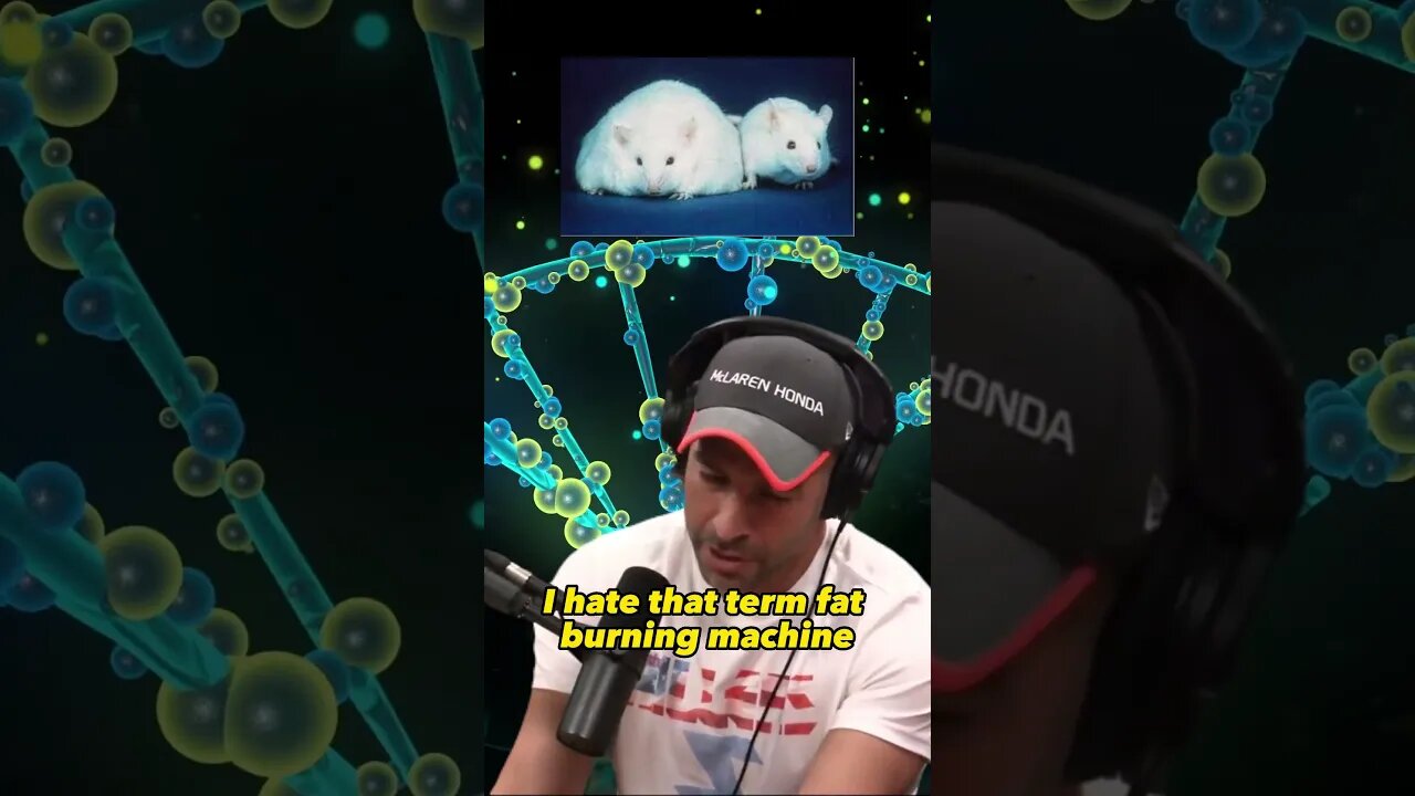 Unlocking the Power of Fasting: Insights from Peter Attia | Joe Rogan Experience #1108