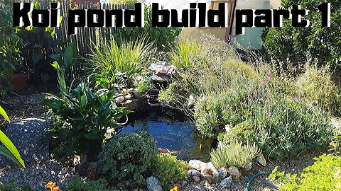 Building a pond part 1 intro- (My backyard pond introduction)