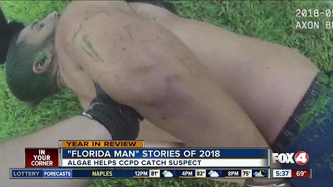 Strange stories in Florida in 2018