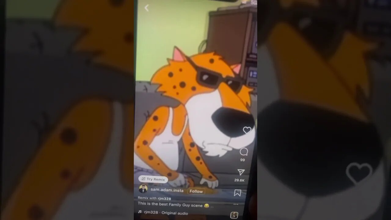 Family guy 2023