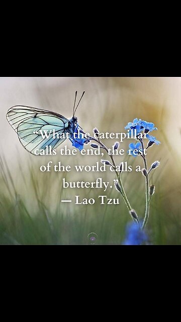 G'night fam, I didn't know this about Bees 😳