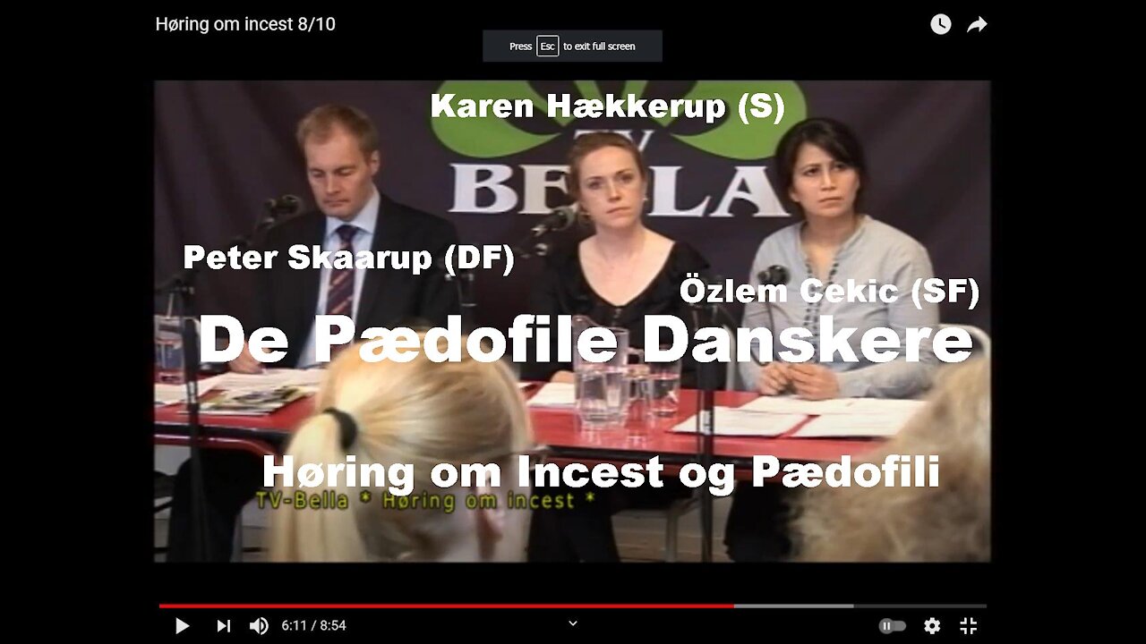 Høring om Incest og Pædofili [04.03.2011]