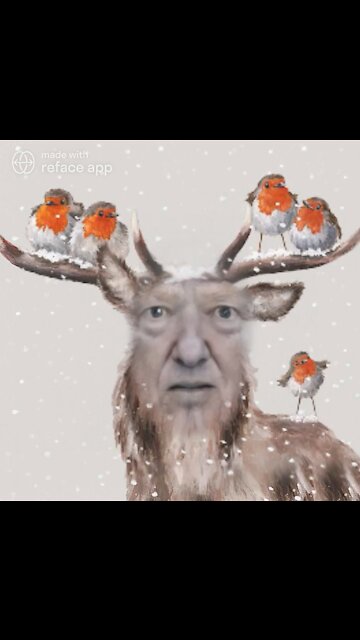 The Ultimate Donald Trump Reindeer Meme!