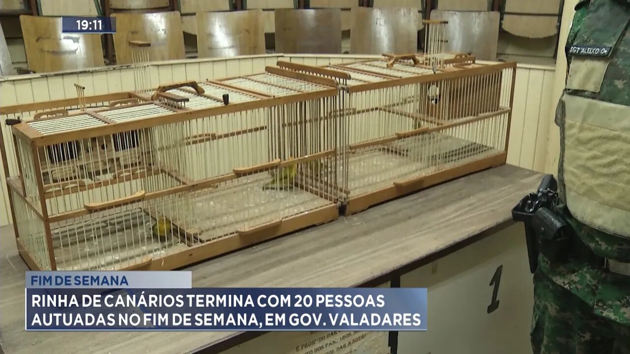 Fim de Semana: Rinha de Canários Termina com 20 Pessoas Autuadas no Fim de Semana, em Gov. Valadares