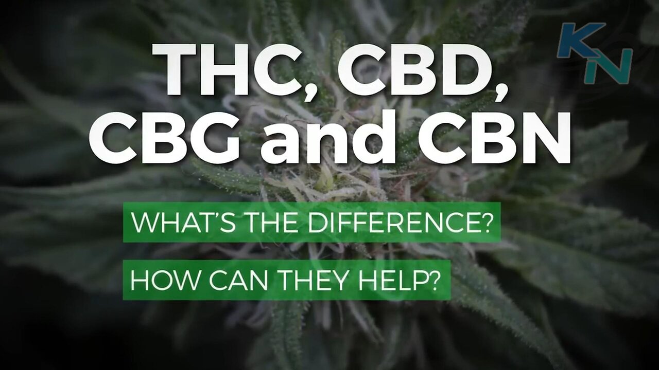 Learn CBD - THC, CBD, CBG, CBN (How Are They Different?)