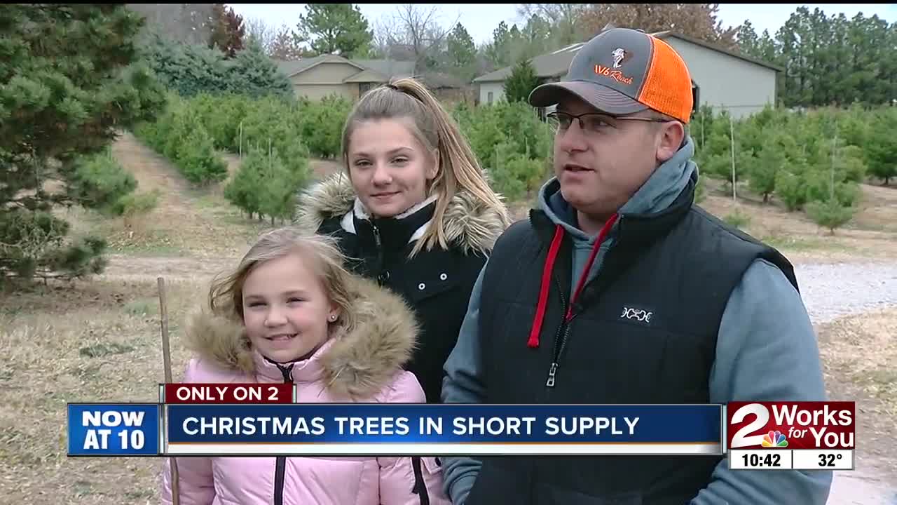 Christmas trees in short supply