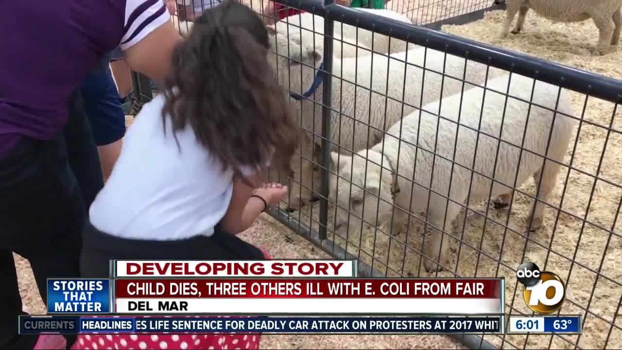 Child dies, 3 others ill with E. Coli linked to San Diego County Fair