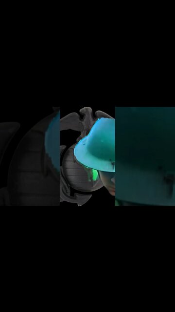 Happy 247th Birthday United States Marine Corps. #usmc