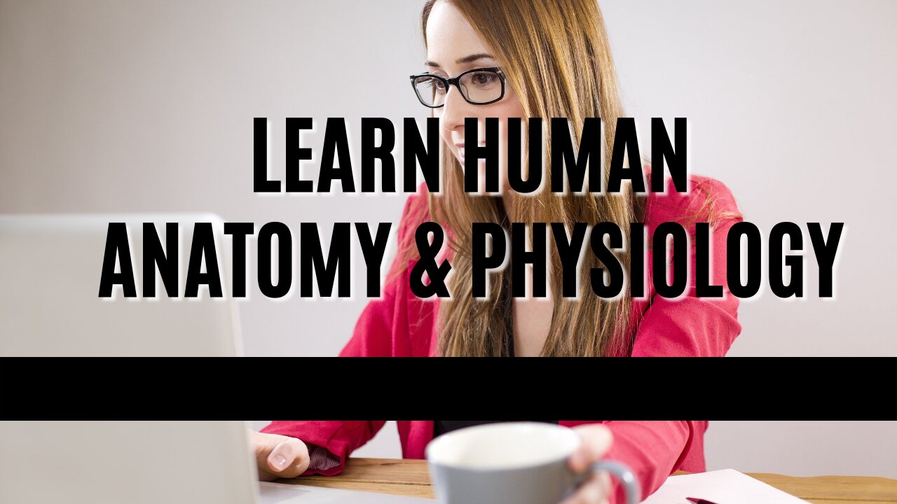 Learn Human Anatomy Quickly and Efficiently