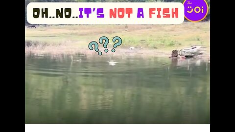 Fishing Surprises Lol 🤣 🎣