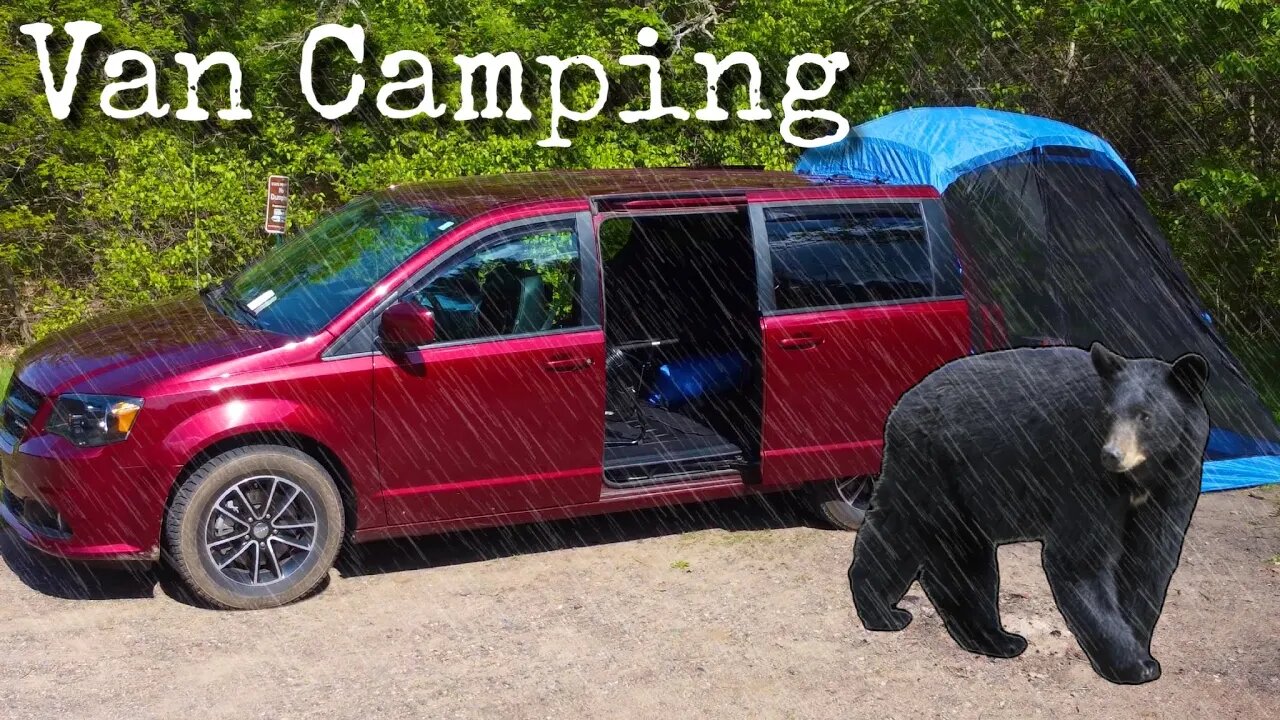 Car Camping in the Woods (Bear Outside) Morning Rain ☔️