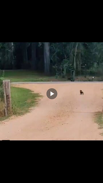 Being welcomed like this is priceless ...