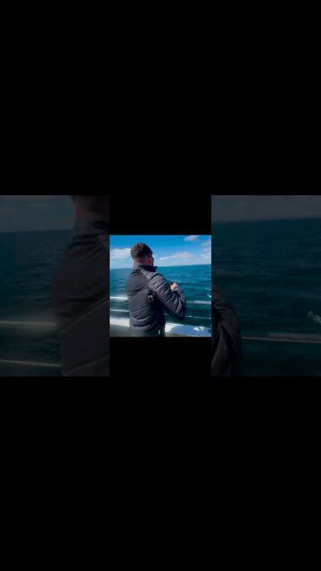 17 SHARKS to the BOAT