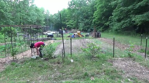 Homestead Looking Good ~ Removed Old Fence Lines