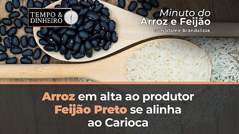 Arroz em alta ao produtor, feijão Preto se alinha ao Carioca