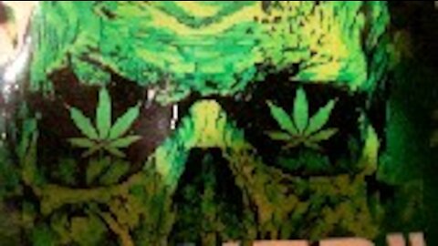 I Smoke Hip Hop Calls Bart Fine Live on you tube