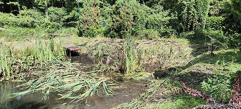 Cykarzew okolice Częstochowy 3