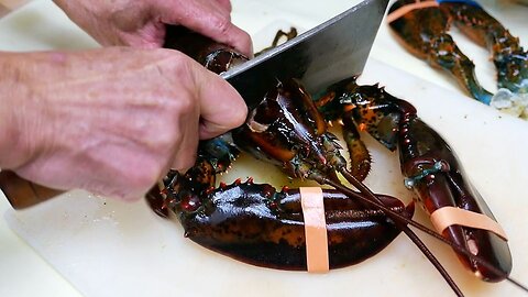 New York City Food - GIANT SEA CLAMS AND LOBSTER VERMICELLI Park Asia Brooklyn Seafood NYC