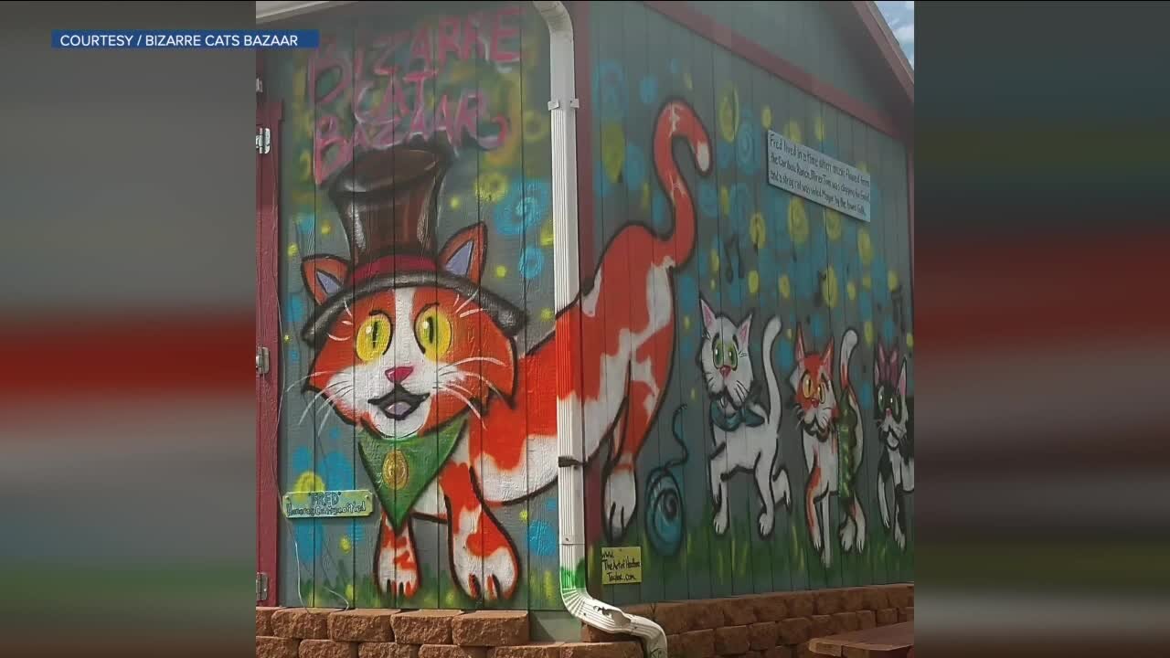 New Nederland festival: Bizarre Cat Bazaar