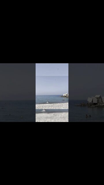 Beach Sunbathing 🇮🇹 3/3 #shorts