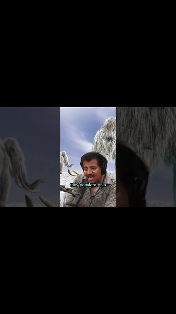 How did we split as a human species during the ice age? Neil Degrasse Tyson and Joe Rogan