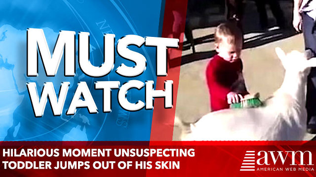 Hilarious moment unsuspecting toddler jumps out of his skin as a windy buck lets rip