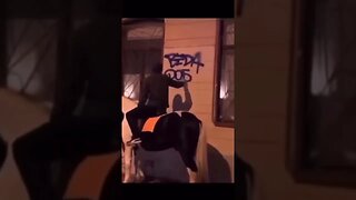 GRAFFITI TAGGING ON A HORSE 🤣 #graffiti #graffitiart #shorts