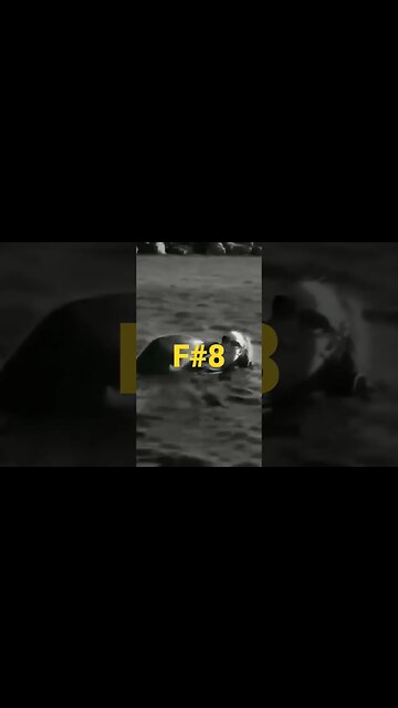 🟡 Mariah Carey • F#8 | #shorts #mariahcarey #mariah #whistle #whistlenote #whistleregister #dolphin