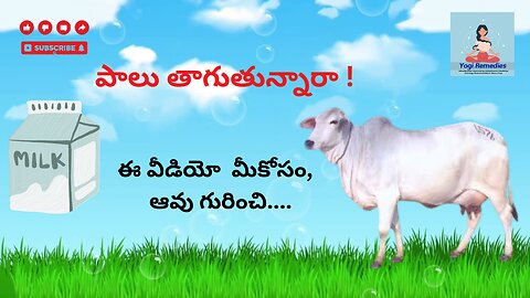 ఆవు ఆవు పాలు Cow Milk Health Benefits #ఆవు #Cow #Milk #Health #Benefits #ghee #curd #gomutra #yogi