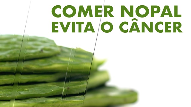 Evita desenvolver câncer comendo nopal (cactos).