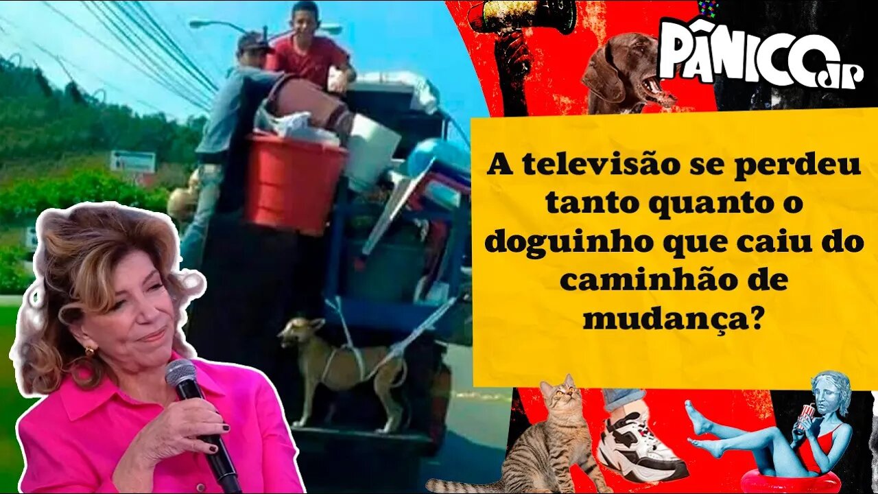 TV LEVOU NOCAUTE DAS REDES SOCIAIS E STREAMING? SILVIA POPPOVIC ANALISA