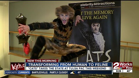 Human to Feline: Travis Guillory tranforms into cat from Cats musical