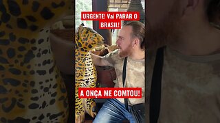 URGENTE ATENÇÃO O BRASIL VAI PARAR AGORA CAMINHONEIROS #shorts