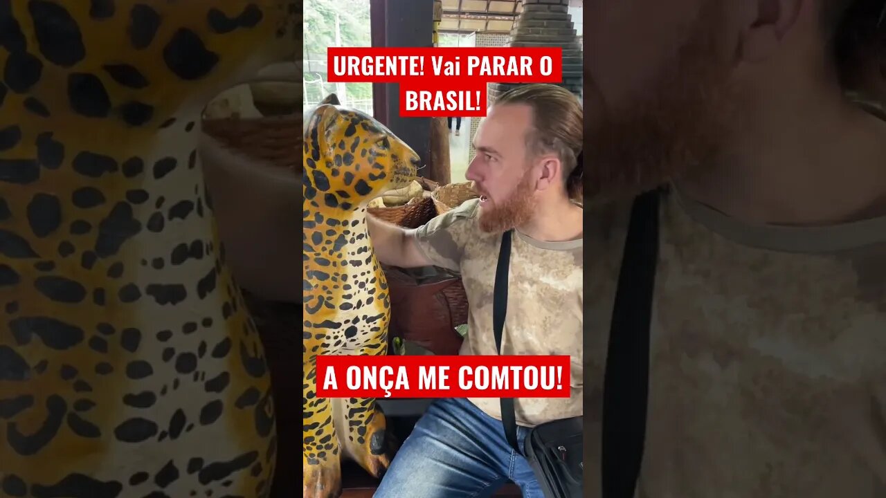 URGENTE ATENÇÃO O BRASIL VAI PARAR AGORA CAMINHONEIROS #shorts