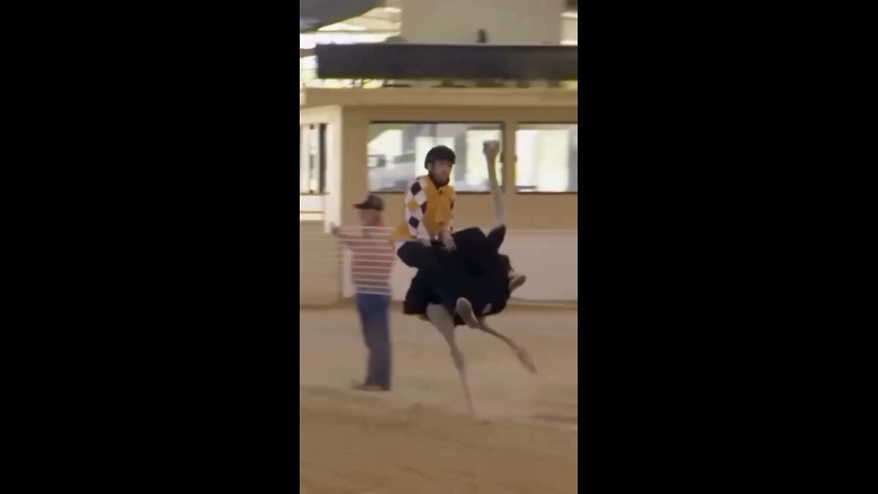 Wait for last video 😂😂😂🙀