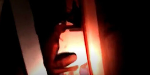 Red-Skinned Humanoid Frightens People in France