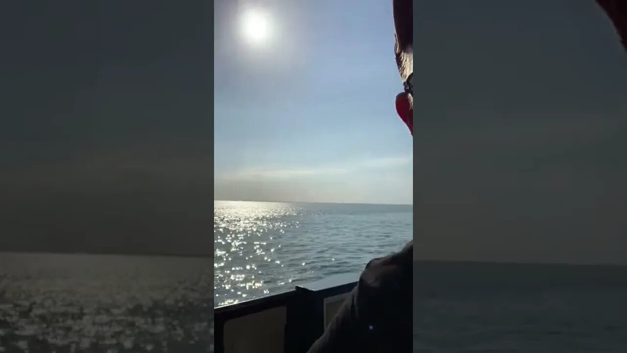 You don’t get THAT view everyday from your RV!! ⛴🌊