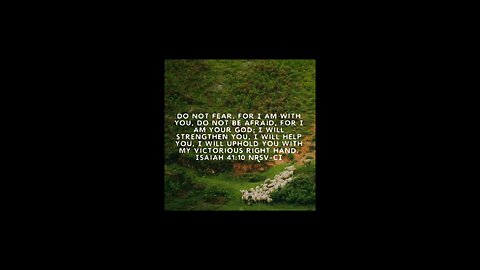 love verse, do not fear #biblebuild #bibleverse #bibleverseoftheday♥️💚💙💜🧡💛 #bible