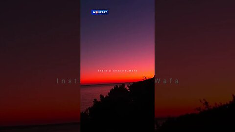 Mai Har Kisi Ki Baat Karta Nahi🥺💔Heart Touching Lines | Sad Status | One Line Shayri | #shayare_wafa