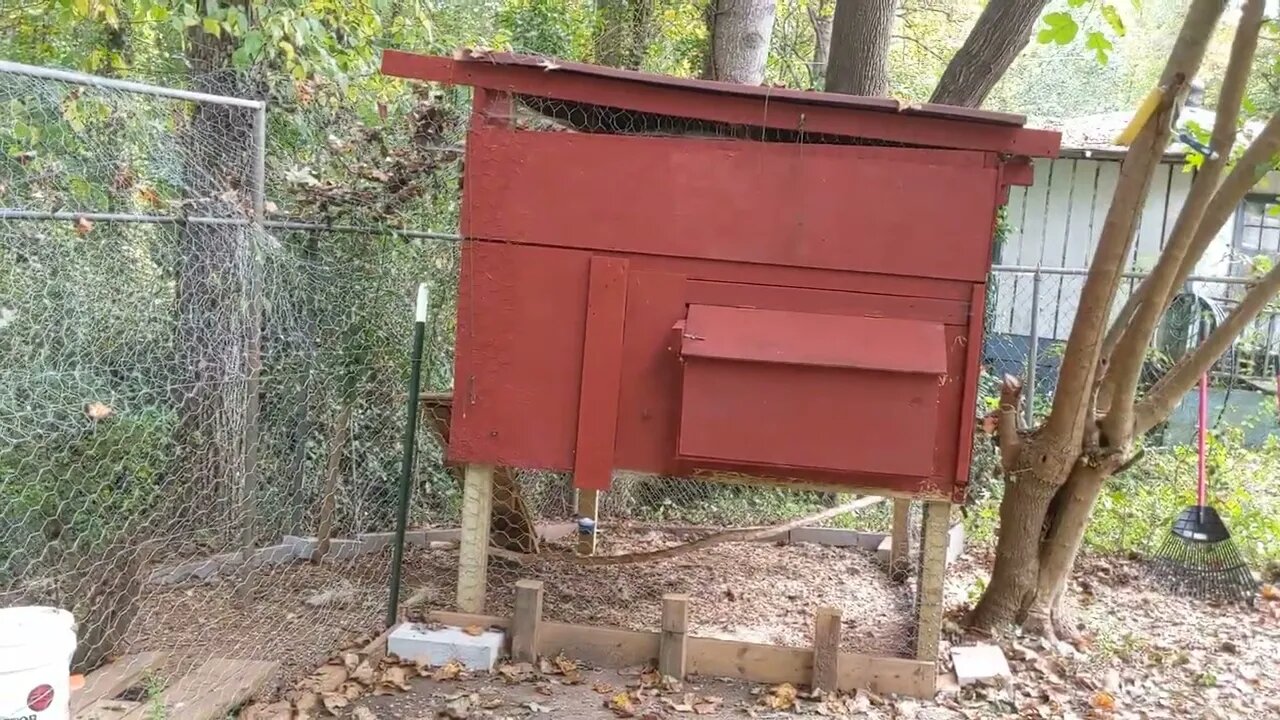 quick tour of the chicken coop and run