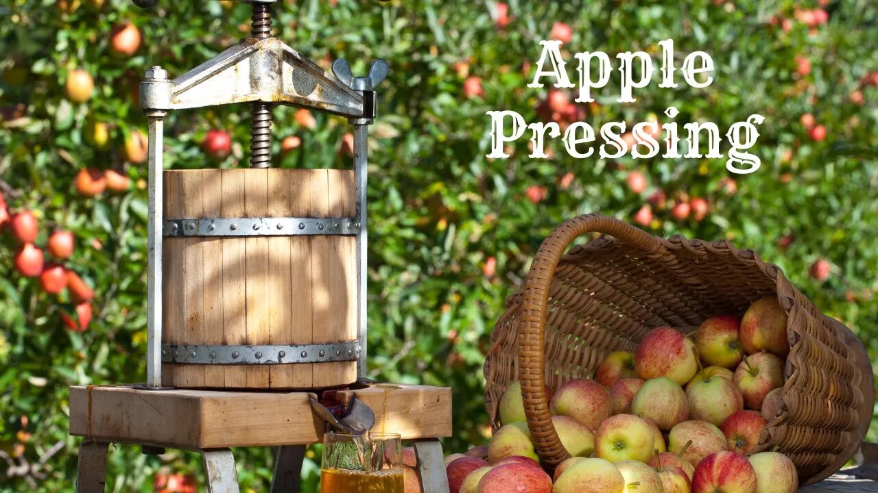 Apple and Pear Chopping and Pressing #apples #pears #fall