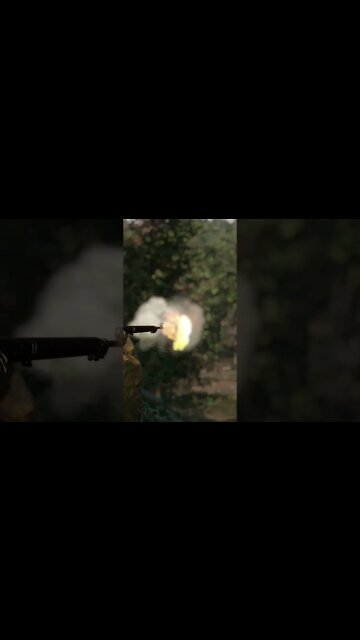 Hanz learns to fly #shorts #shortsvideo #shortsfeed #youtubeshorts